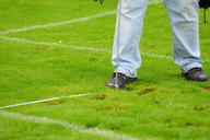 web-hifa-boe-js-2013-353.jpg